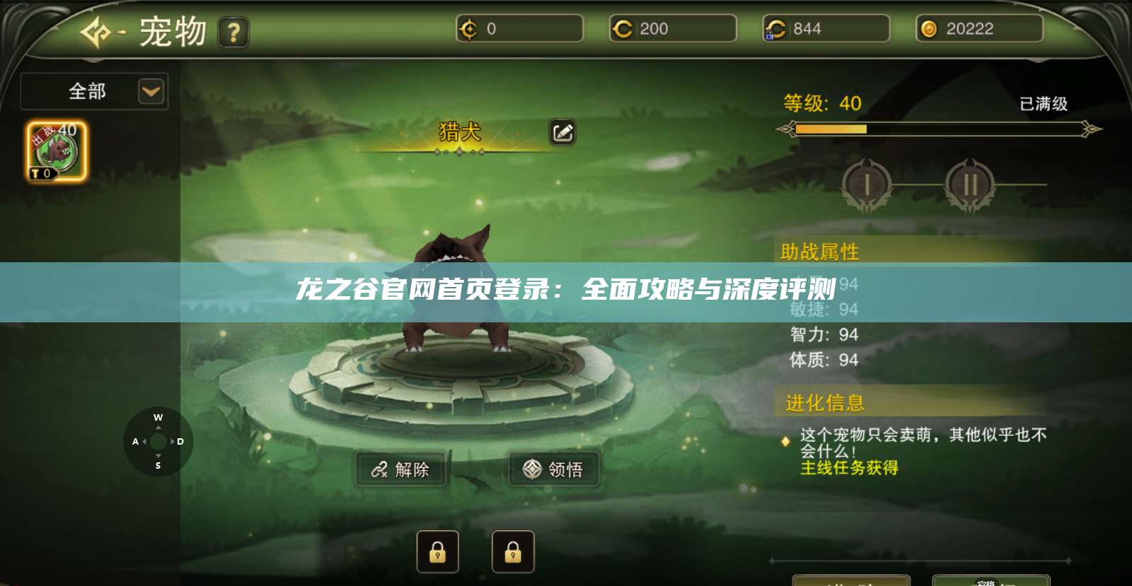 龙之谷官网首页登录：全面攻略与深度评测  第1张